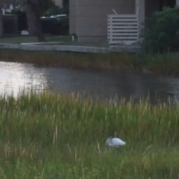 Meet your Posher, Lisa - Picture 1 of 1